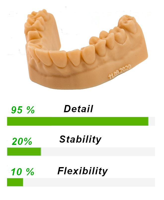 Dental Model 